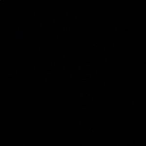 Meet your Posher, Anna karina